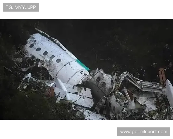 巴西警方披露北大教授坠机案细节，巴西警方披露北大教授坠机案细节视频