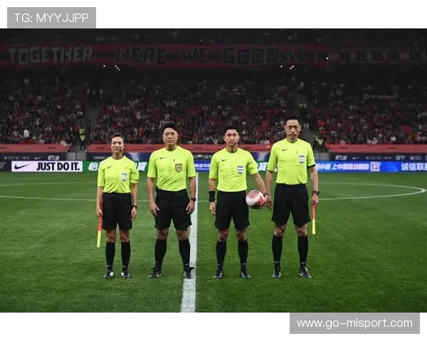 职业联赛的裁判执法尺度